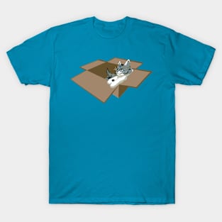 Kitty Box Party T-Shirt